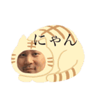 Dの会（個別スタンプ：6）