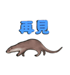 カワウソ家族の生活 (中国語)（個別スタンプ：14）