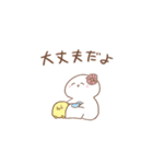 あさりだよ（個別スタンプ：8）