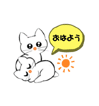 記号猫 白猫ちゃん3（個別スタンプ：1）