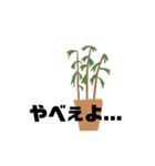 観葉植物くん☆（個別スタンプ：1）