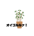 観葉植物くん☆（個別スタンプ：2）