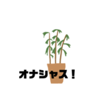 観葉植物くん☆（個別スタンプ：3）