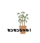 観葉植物くん☆（個別スタンプ：4）