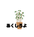 観葉植物くん☆（個別スタンプ：5）