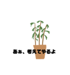 観葉植物くん☆（個別スタンプ：6）