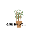 観葉植物くん☆（個別スタンプ：7）