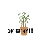 観葉植物くん☆（個別スタンプ：8）