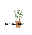 観葉植物くん☆（個別スタンプ：9）