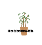 観葉植物くん☆（個別スタンプ：10）