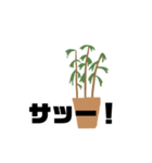 観葉植物くん☆（個別スタンプ：11）