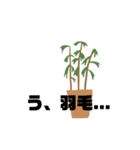 観葉植物くん☆（個別スタンプ：12）