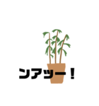 観葉植物くん☆（個別スタンプ：13）
