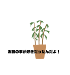 観葉植物くん☆（個別スタンプ：16）