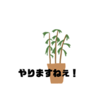 観葉植物くん☆（個別スタンプ：17）