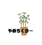 観葉植物くん☆（個別スタンプ：18）