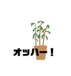 観葉植物くん☆（個別スタンプ：22）