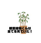 観葉植物くん☆（個別スタンプ：24）