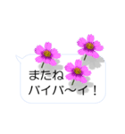 スマホの上の花と風《Ver. 03》（個別スタンプ：12）