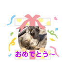 もちゃ 8（個別スタンプ：3）