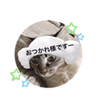 もちゃ 8（個別スタンプ：4）