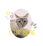 もちゃ 8（個別スタンプ：5）