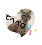 もちゃ 8（個別スタンプ：10）