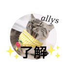 もちゃ 8（個別スタンプ：15）