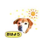 ikurama(kohso)（個別スタンプ：3）