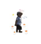 aaaooobbbaaa（個別スタンプ：10）