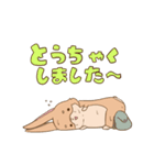 もふもふコギットくん（個別スタンプ：5）