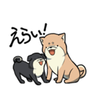 限界柴犬君たち（個別スタンプ：7）