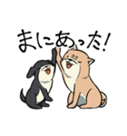 限界柴犬君たち（個別スタンプ：28）