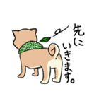 限界柴犬君たち（個別スタンプ：30）