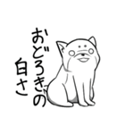 限界柴犬君たち（個別スタンプ：40）