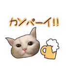 ハク様【飲みにけーしょん】（個別スタンプ：1）