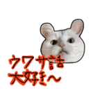 ハク様【飲みにけーしょん】（個別スタンプ：2）