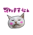 ハク様【飲みにけーしょん】（個別スタンプ：3）
