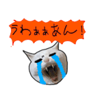 ハク様【飲みにけーしょん】（個別スタンプ：5）