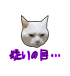 ハク様【飲みにけーしょん】（個別スタンプ：6）