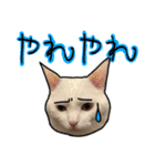 ハク様【飲みにけーしょん】（個別スタンプ：7）