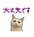 ハク様【飲みにけーしょん】（個別スタンプ：8）