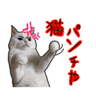ハク様【飲みにけーしょん】（個別スタンプ：9）