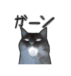 ハク様【飲みにけーしょん】（個別スタンプ：12）