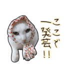ハク様【飲みにけーしょん】（個別スタンプ：18）