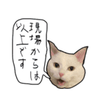 ハク様【飲みにけーしょん】（個別スタンプ：20）