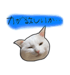 ハク様【飲みにけーしょん】（個別スタンプ：21）