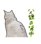 ハク様【飲みにけーしょん】（個別スタンプ：24）