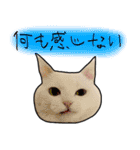 ハク様【飲みにけーしょん】（個別スタンプ：26）