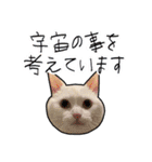 ハク様【飲みにけーしょん】（個別スタンプ：28）